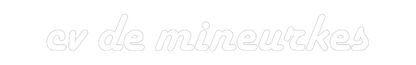 NEONSIGN: cv de mineurkes